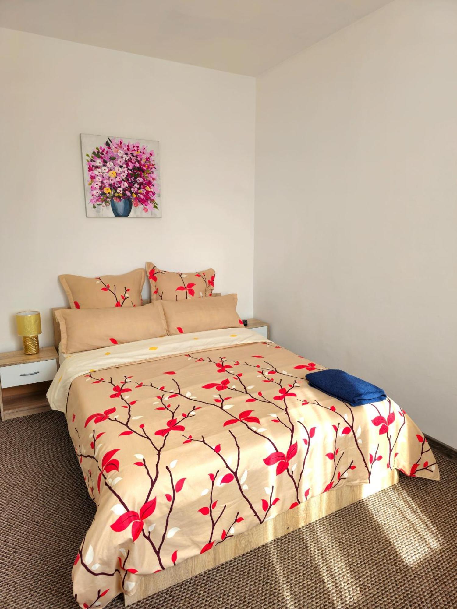 Aparthotel Sibiu Cedonia 外观 照片